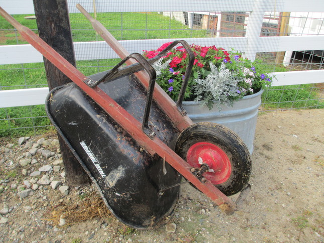 wheelbarrow 002.jpg